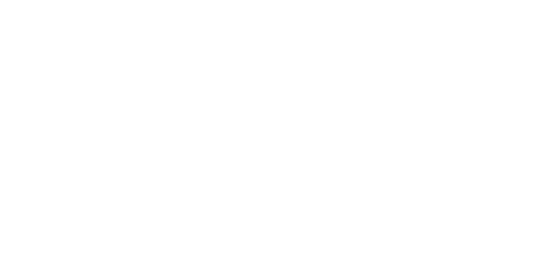 11. chainllink_w